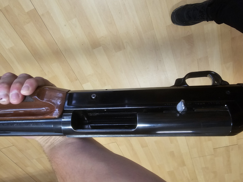 Benelli super black eagle