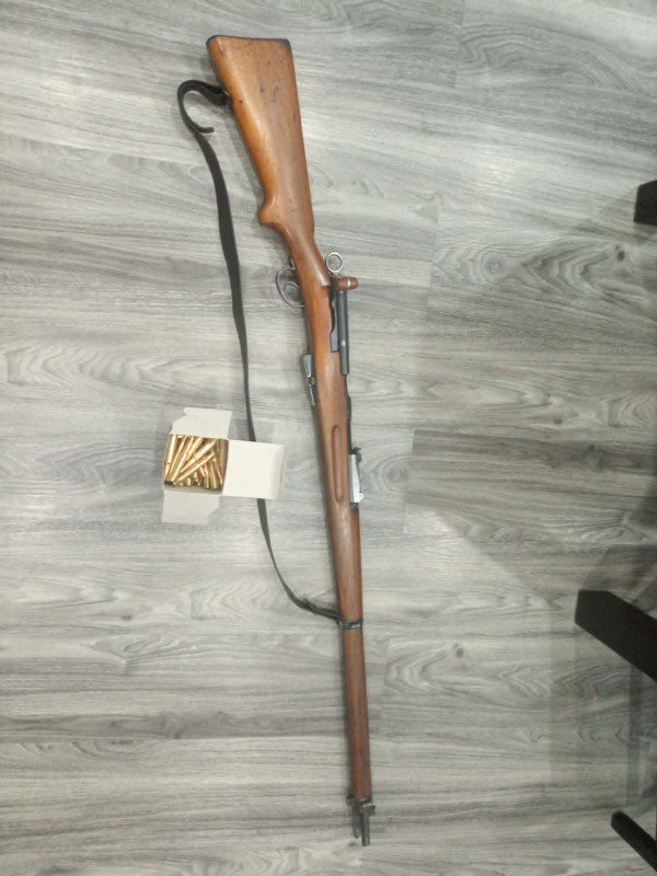 Schmidt Rubin G11