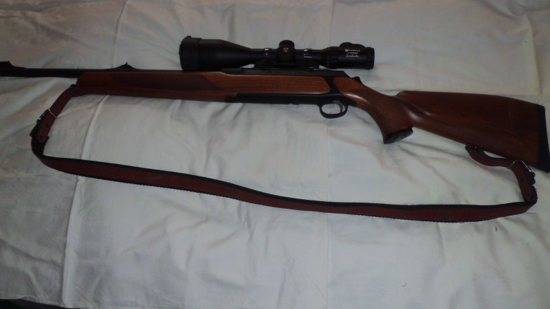 Sauer 303
