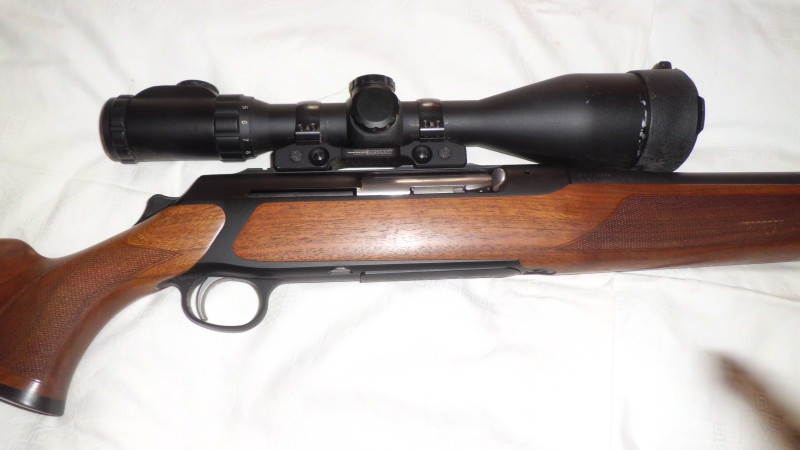 Sauer 303