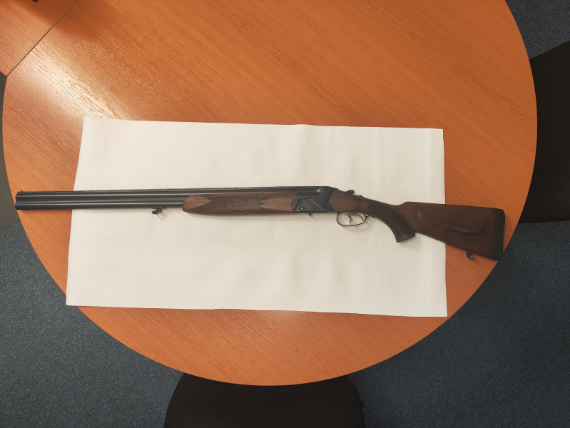 Broková kozlice CZ 585-06 model 2