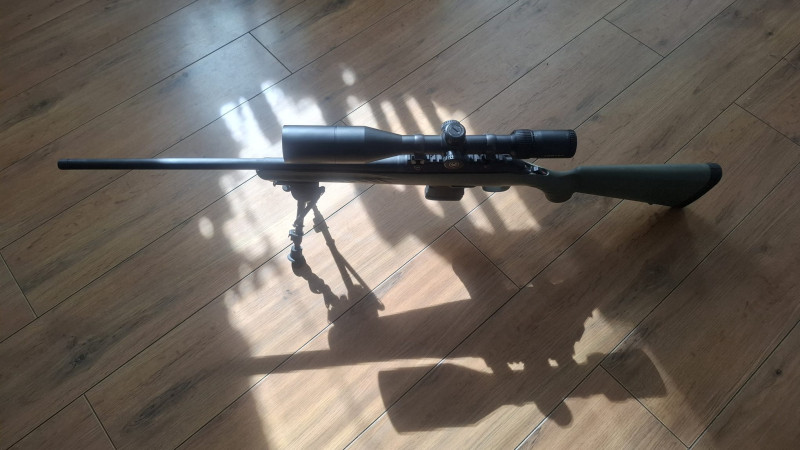 Vortex 6-24x50 tactical