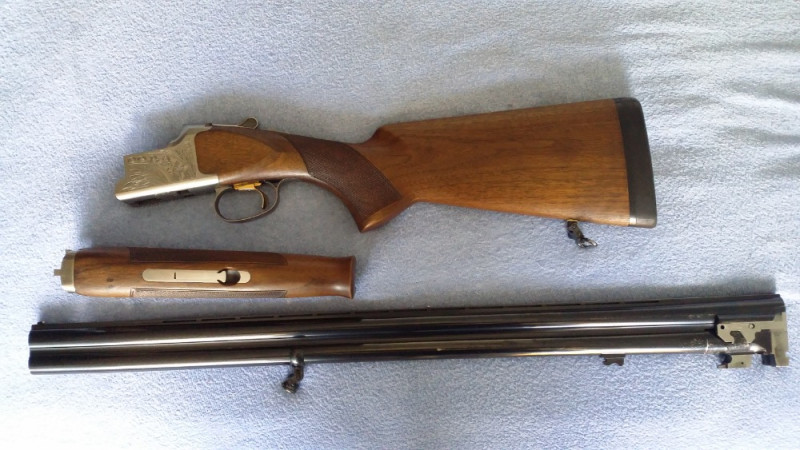 Browning GTS 12/76