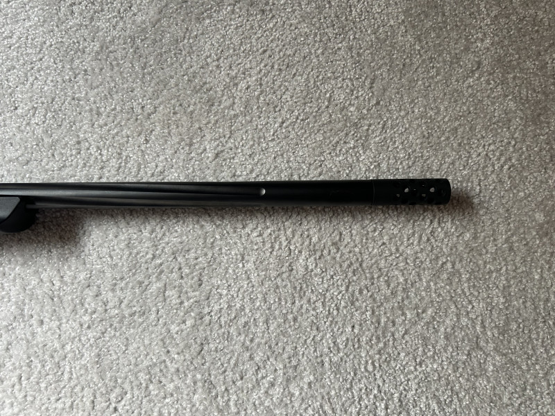 Frenchie Horizon Varmint 308win