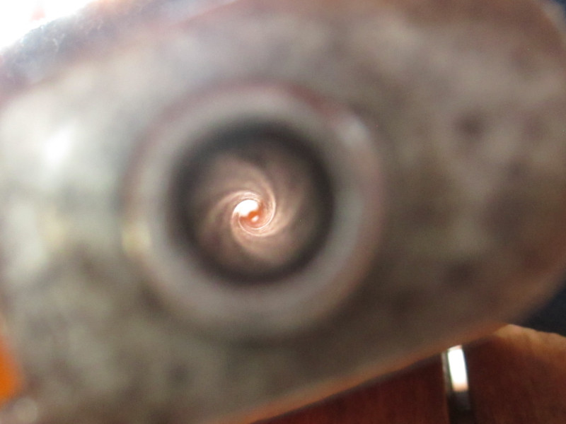 Gewehr 88 karabina