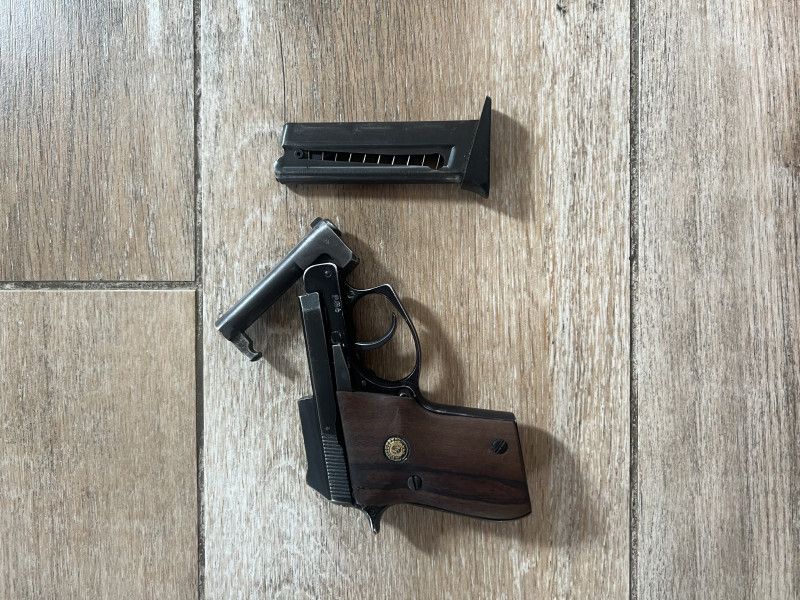 Taurus PT-22