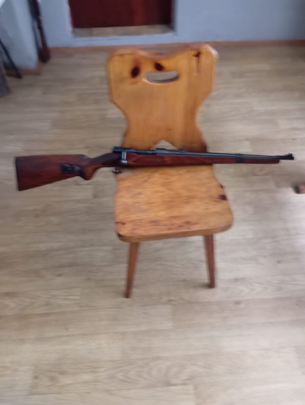 Zollkarabiner ZK52