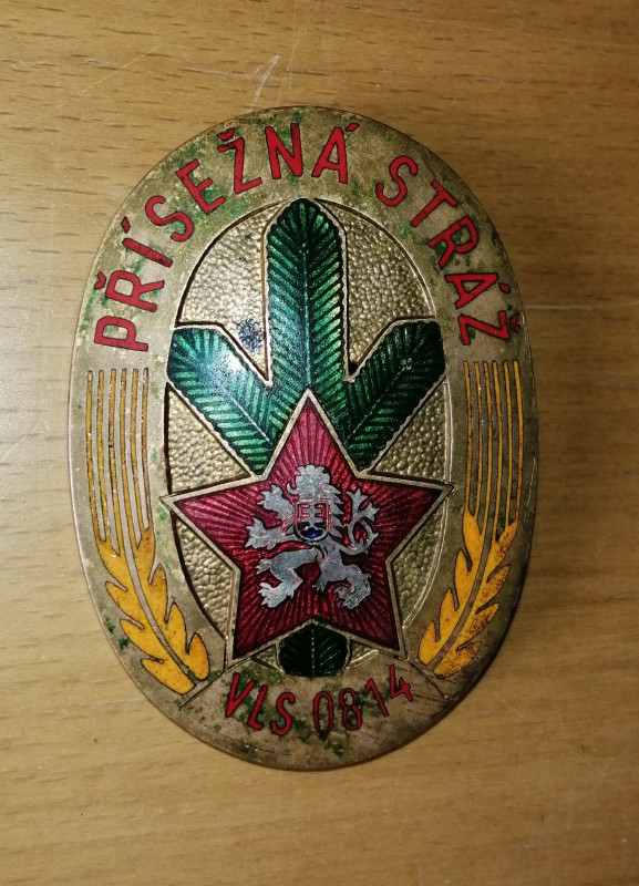 Odznak Přísežné stráže VLS 