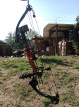 Kladkový luk Mathews Prestige 