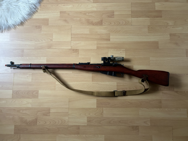 Mosin nagant 