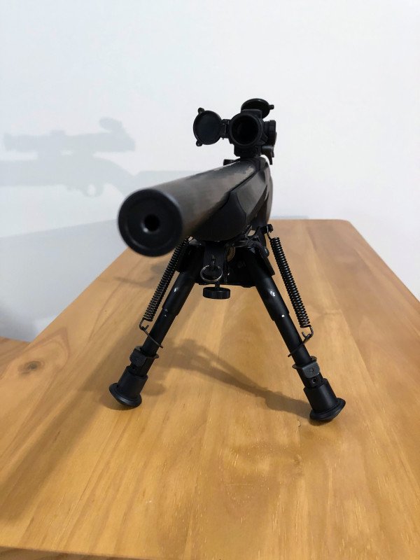 Ruger 10/22 VLEH Target Tactical