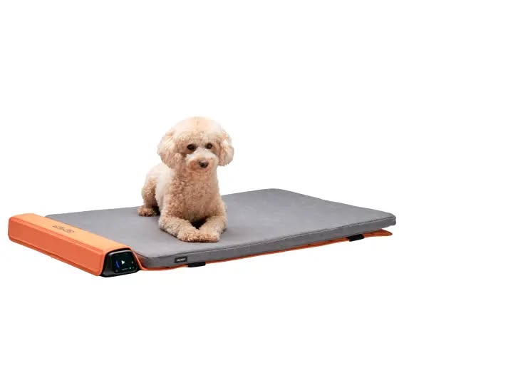 BEMER Dog Line