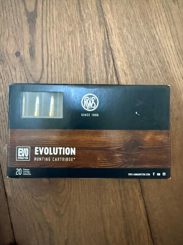 RWS 308 Win Evolution