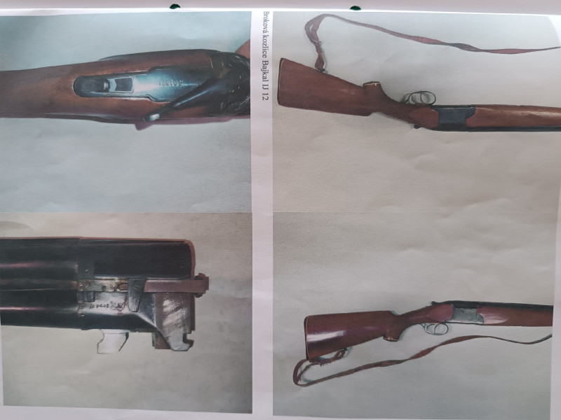 Broková kozlice Bajkal IJ 12