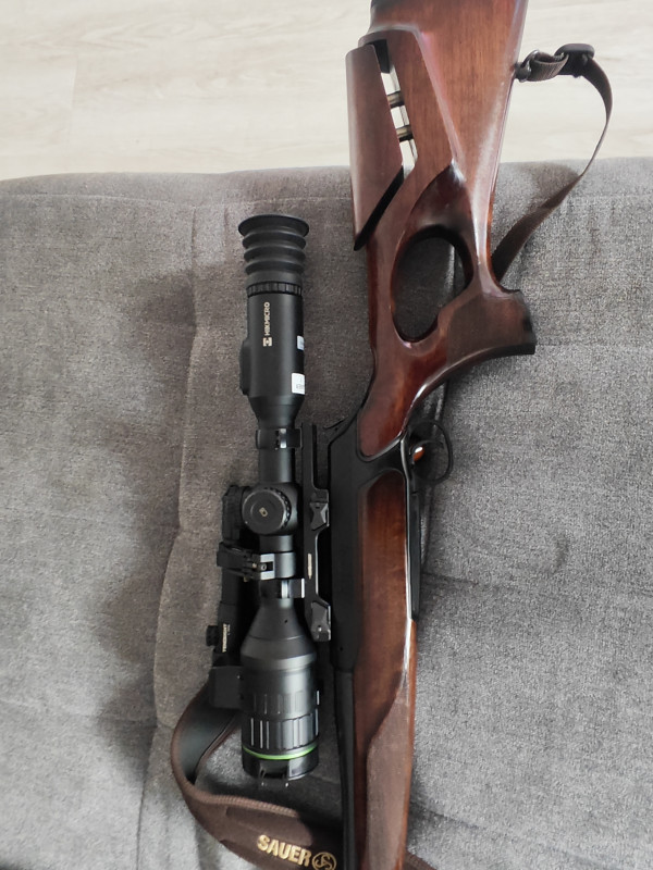 Sauer 404