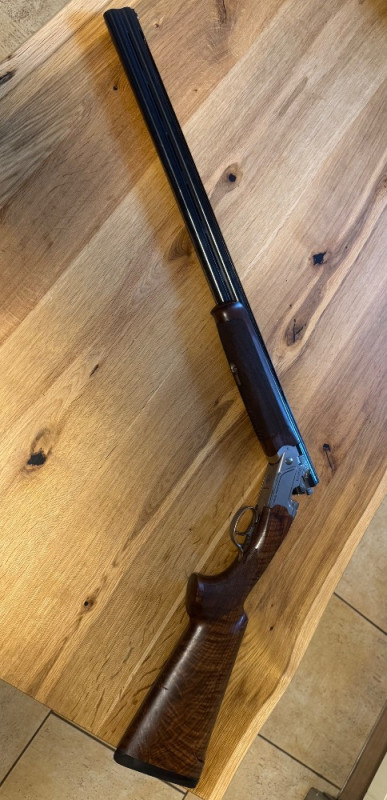 Beretta 694 trap