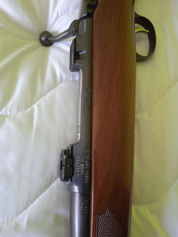 CZ 550lux308win