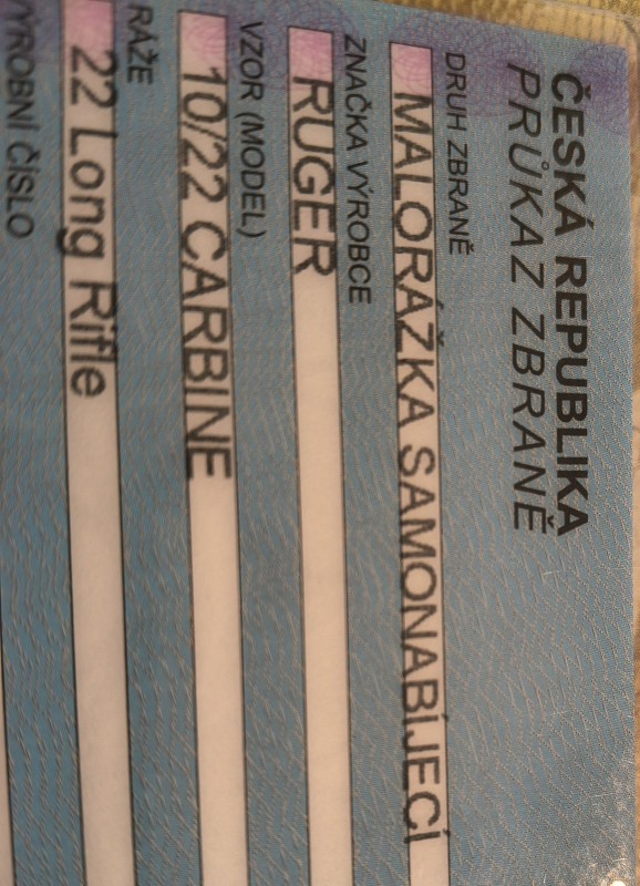 Malorážka samonabíjecí Ruger