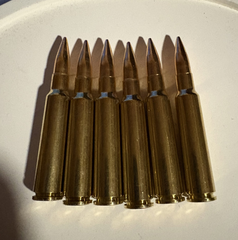 7,5 x 55 SWIS
