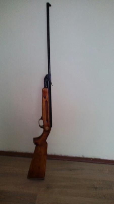iž 22