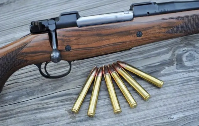 CZ 550