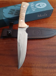 Muela Jabali 17 Olive