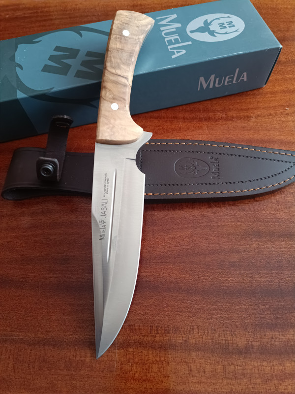 Muela Jabali 17 Olive