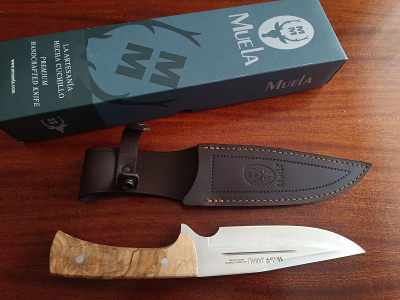 Muela Jabali 17 Olive