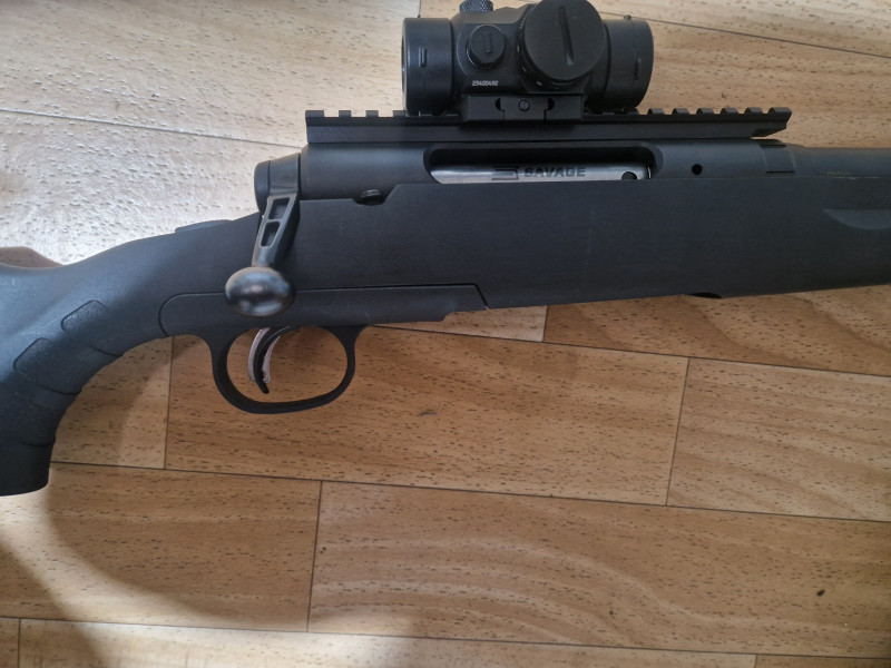 Savage Arms
