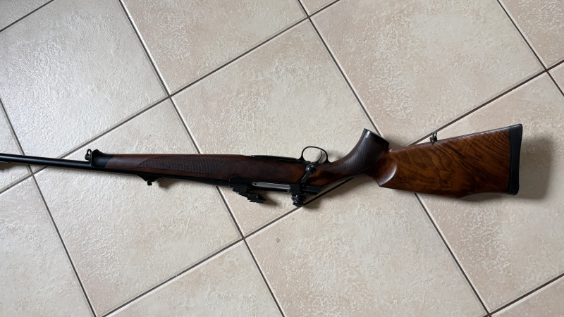 Sauer 202