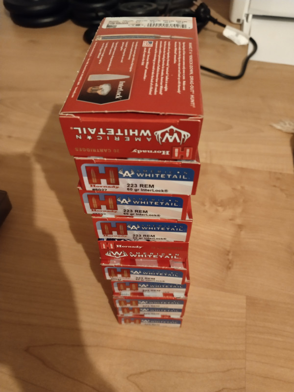 Náboje 308 win a 223 rem